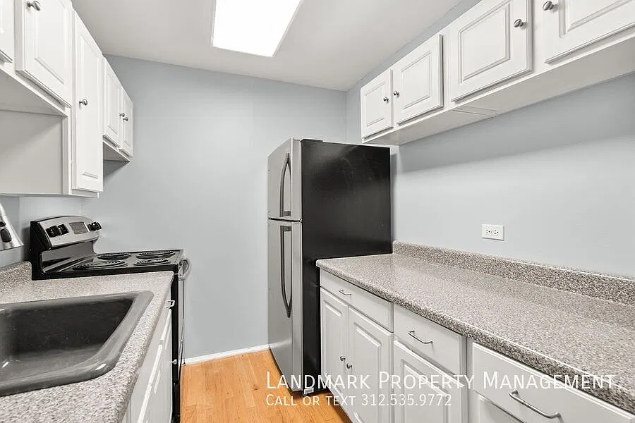 100 E Walton St Unit 17G — Photo 4
