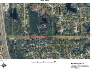 317 Whitaker Rd, Lutz, FL 33549