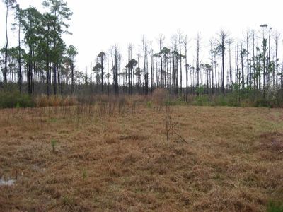 LOT 23 & Shady Bayou Ln Lot 22, Milton, FL, 32583