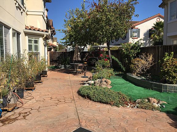 Enjoy the backyard. tomatoes grown in the summer