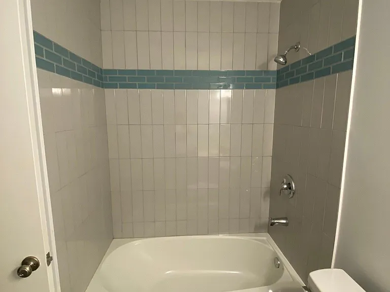 Hall bath and guest
