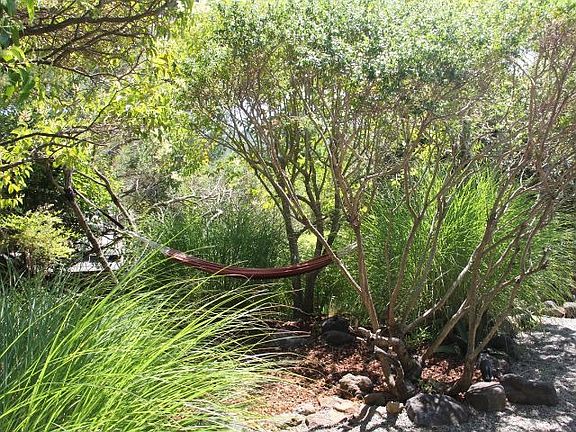 Lush & Mature Gardens