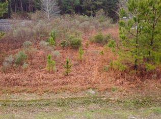 34343 Ambrose Hoover Rd, Tickfaw, LA 70466