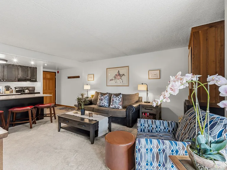 455 Village Rd #106BRECKENRIDGE — Photo 3
