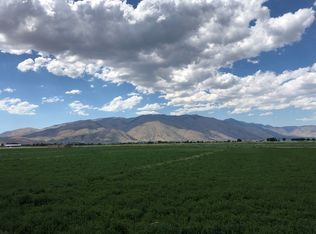 2665 Highway 208, Wellington, NV 89444