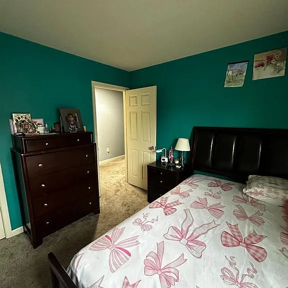 13544 Canada Goose Ct — Photo 11