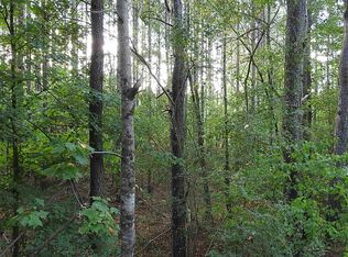 0 Covington Bridge Rd #9618-3, Fairmount, GA 30139