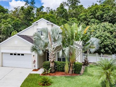 8001 Terrace Arbor Ct, Temple Terrace, FL, 33637