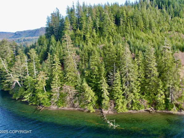 9.2 Mile Port Saint Nicholas Rd, Craig, AK 99921