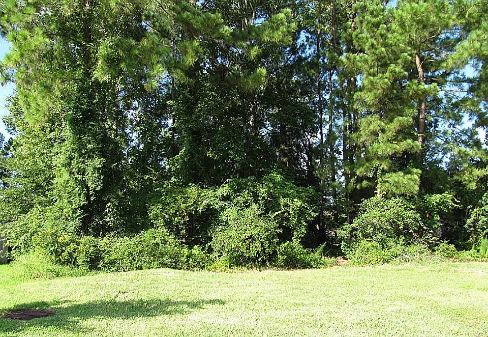 1st image of 20616 Eaglewood Forest Dr