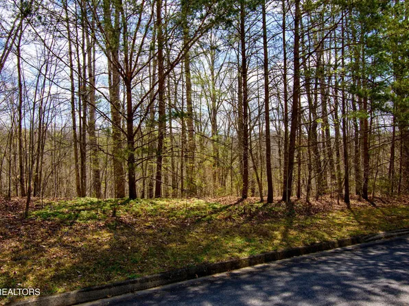 Turtle Dove Trl, Dandridge, TN 37725