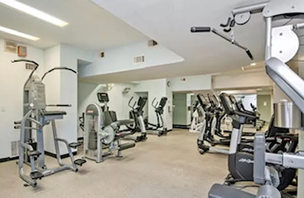 Rented by Ogtagon Corp | media 22