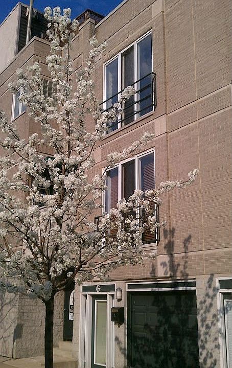1st image of 1157 W Newport Ave Unit G