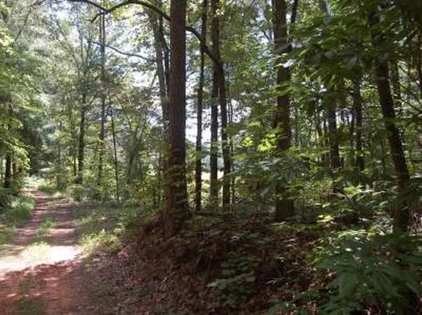 347 Rocky Ford Rd, Turtletown, TN 37391