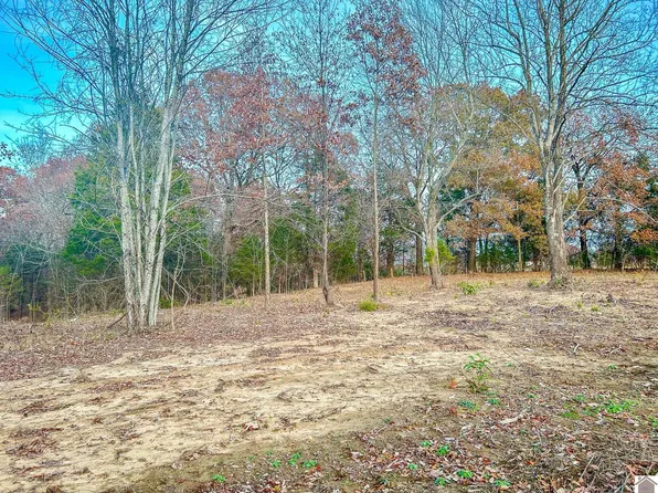 386 Toy York Rd, Benton, KY 42025