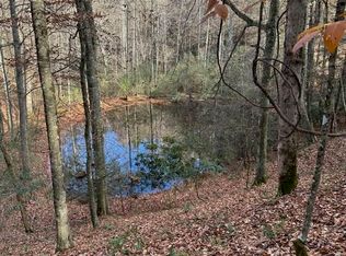 Retriever Ln, Haysi, VA 24256