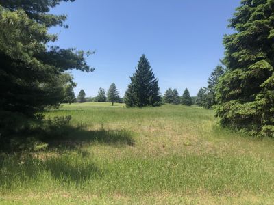 7299 Ryans Run, Stanwood, MI, 49346