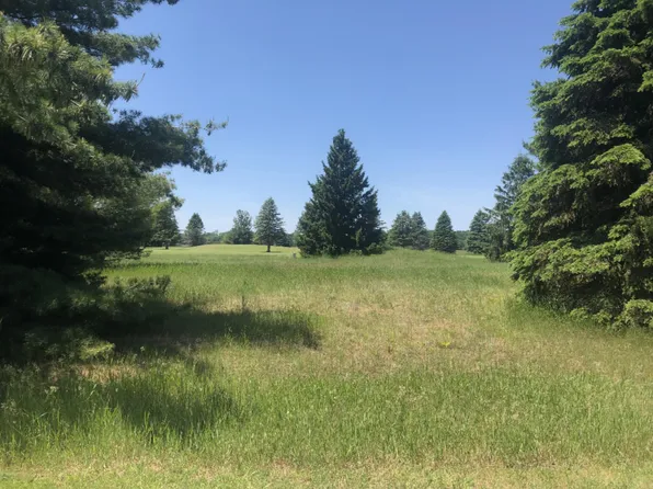 7299 Ryans Run, Stanwood, MI 49346