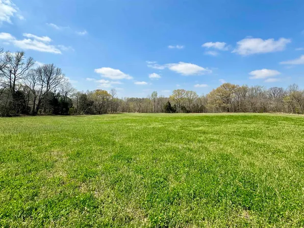 0 Highway 51 N, Halls, TN 38040