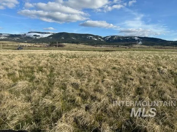 PARCEL 2B Whitetail Dr, Grangeville, ID 83530