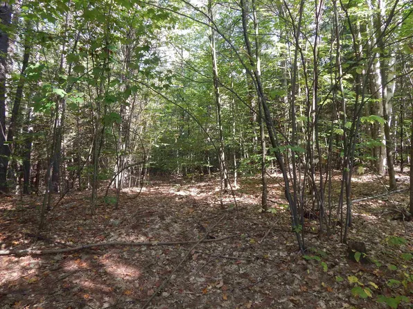 Lot 22 Grove Street #22 Section B, Newbury, NH 03255
