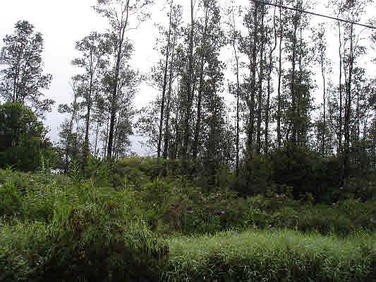 2nd image of Aloha Dr Lot 53