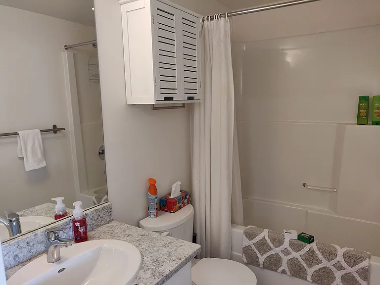 450 8th Ave SE #1001 — Photo 11