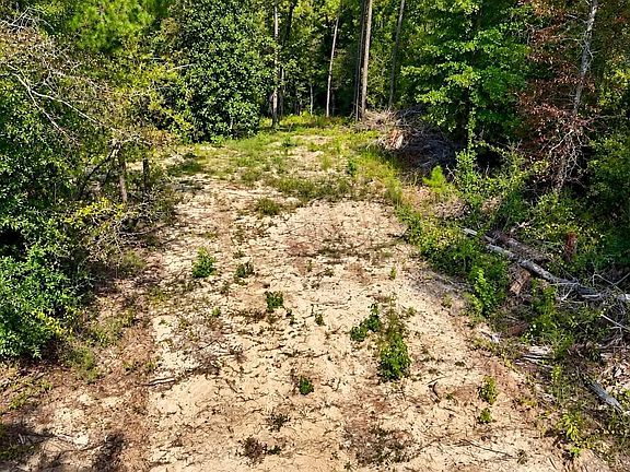 4th image of 0 Pitts Rd