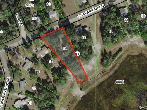 7724 E Savannah Dr, Floral City, FL 34436