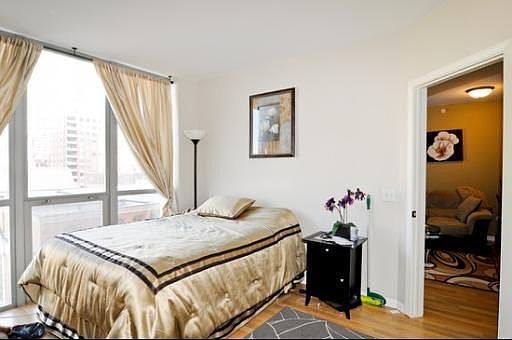 5th image of 600 N Dearborn St #P102