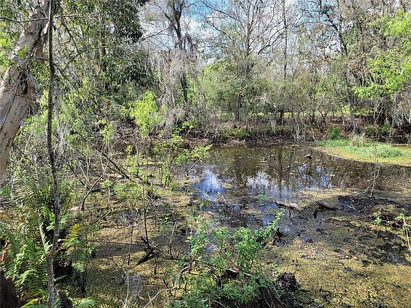 2nd image of TBD BELL LAKE ROAD LOT 7