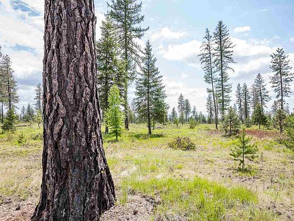 3rd image of 929 W Ponderosa Meadows Ln