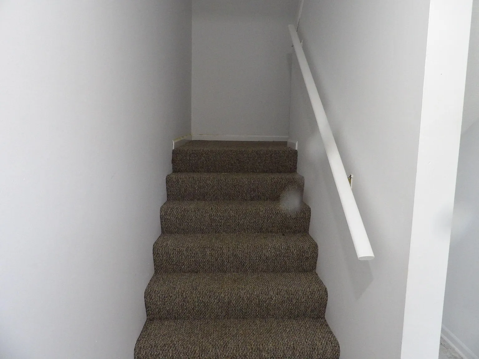 2 bed, 1.0 bath, 1000 sqft, $950 — Photo 3