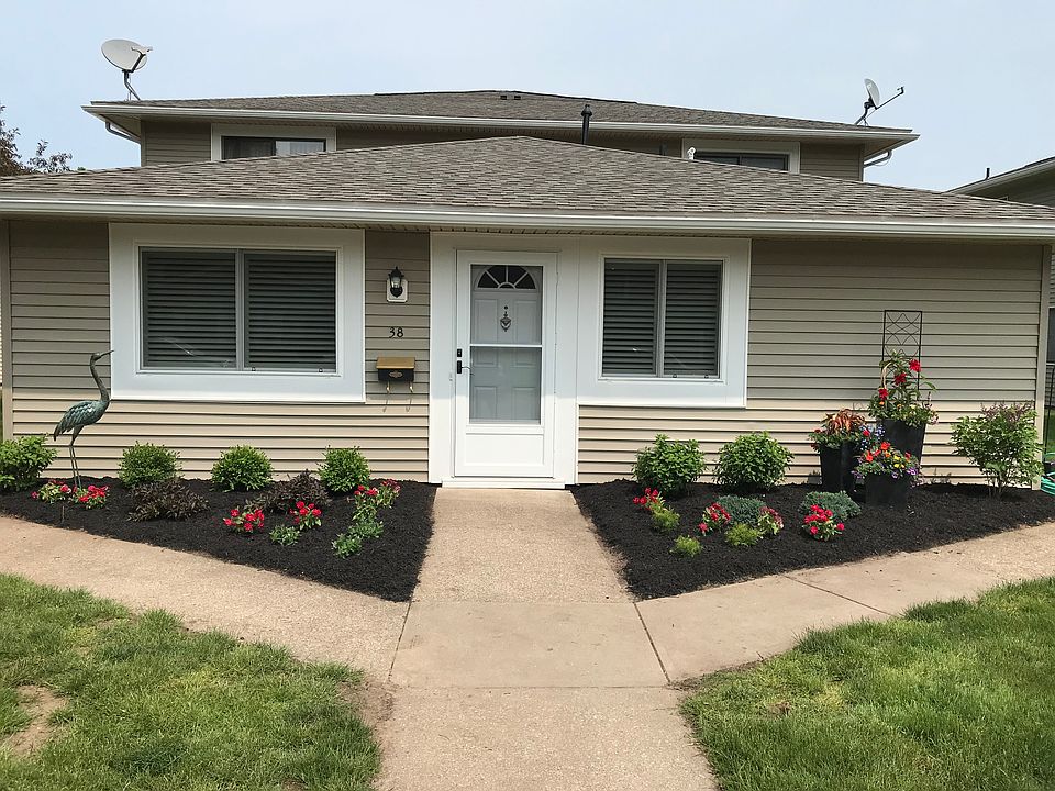 New landscaping 2019 