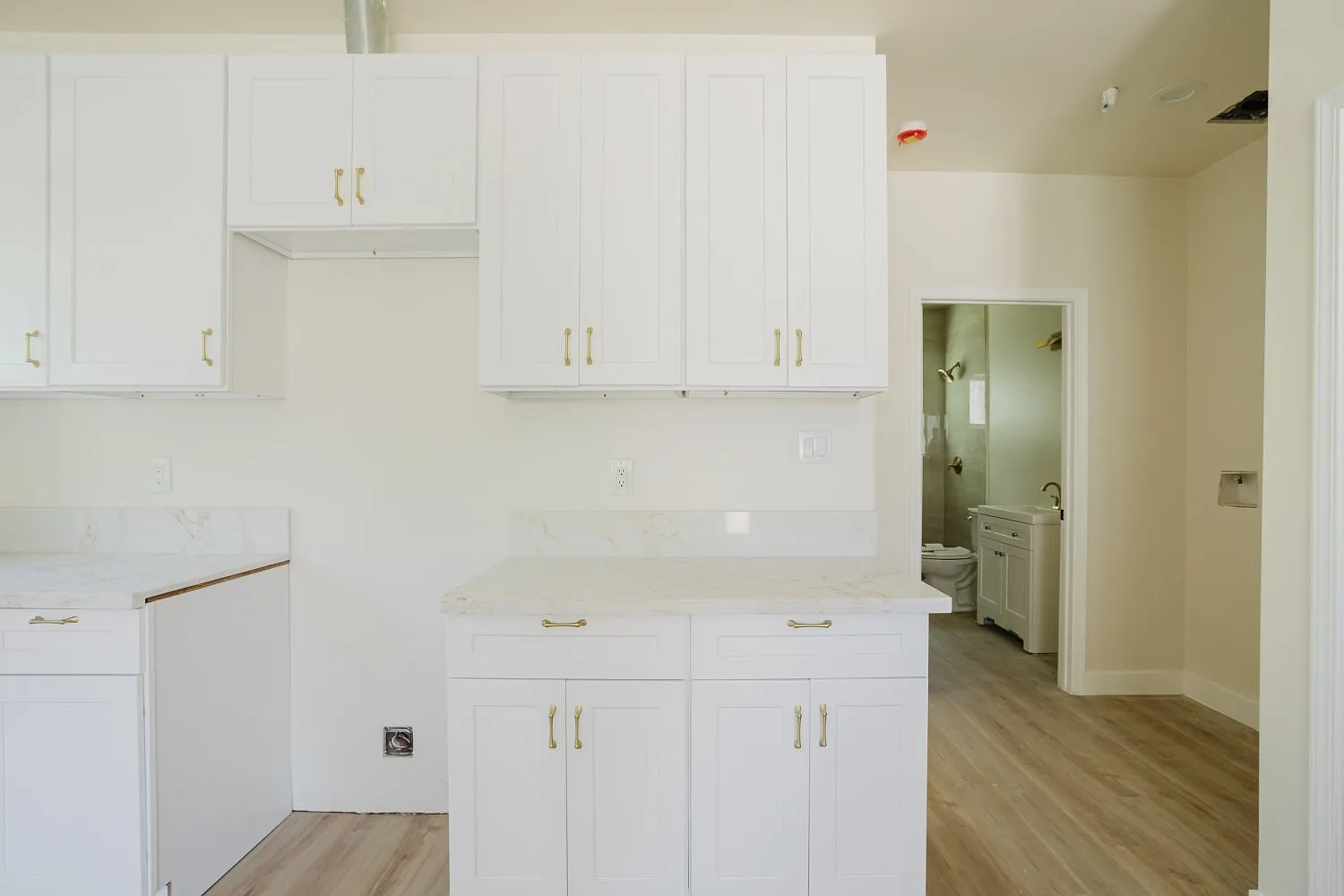4 bed, 1200 sqft, $3,500 — Photo 3