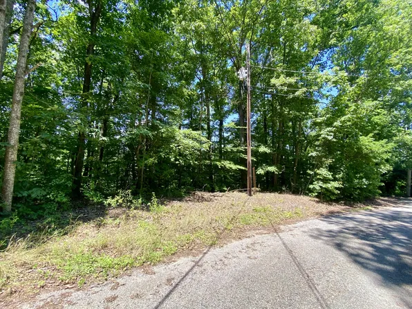 0 Dogwood Pl Lot 173, Smithville, TN 37166