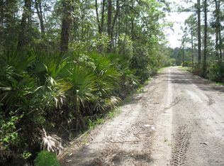 LOT 20 Pine Hill Rd, Crescent, GA 31304