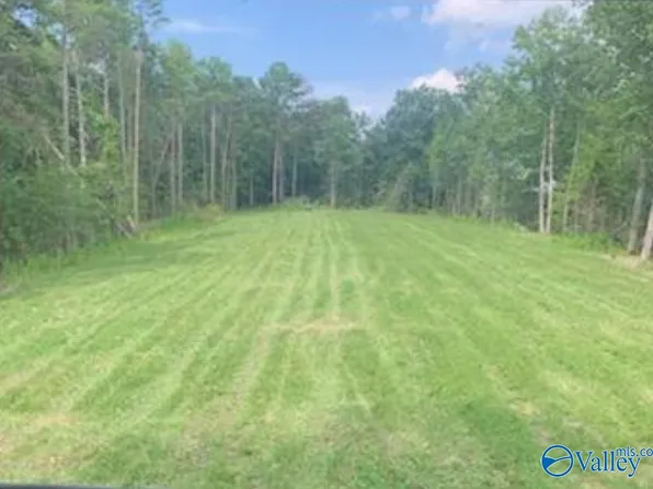 County Road 81, Pisgah, AL 35765