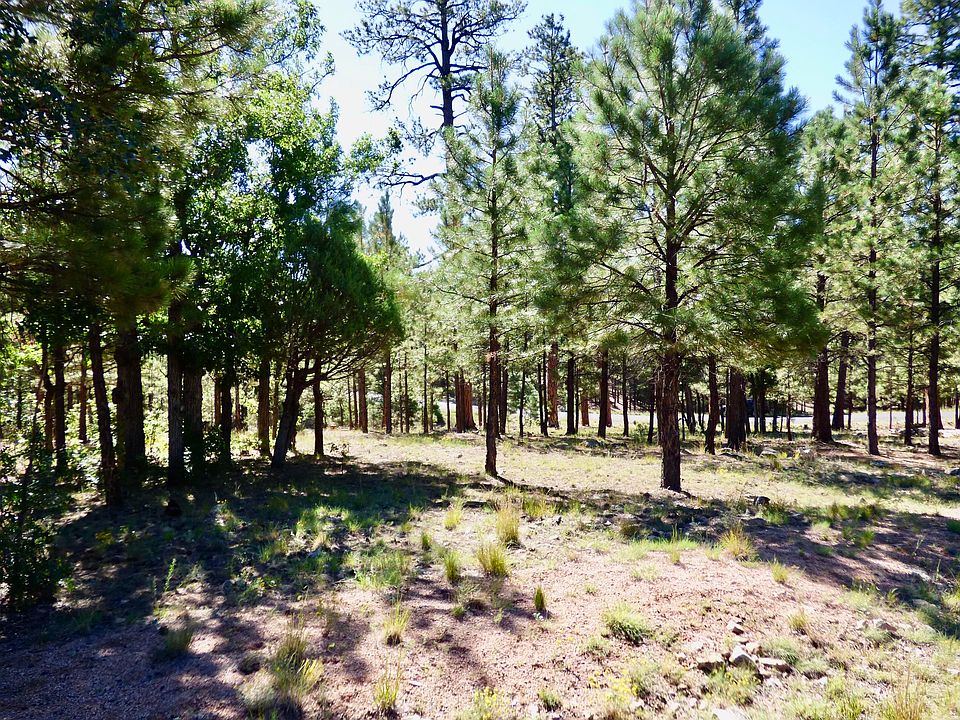 1st image of 2096 Pine Canyon Dr