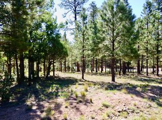 2096 Pine Canyon Dr, Happy Jack, AZ 86024
