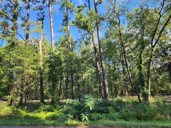 County Road 378 Hebron Rd, Tyler, TX 75708