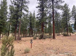 229 Redding Way, Carson City, NV