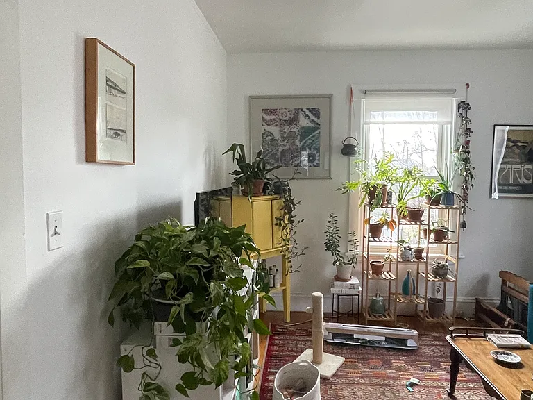 15 Chestnut St #3 — Photo 8