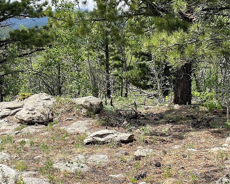 0 Miners Mesa Rd, Black Hawk, CO 80422 MLS 2173828 Zillow