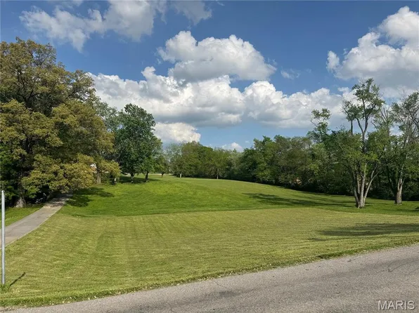 15 Nellie Ave, Scott City, MO 63780