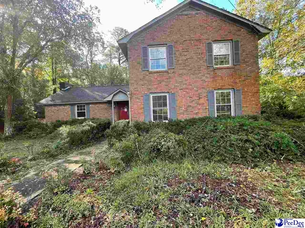 229 E Smallwood Rd, Effingham, SC 29541