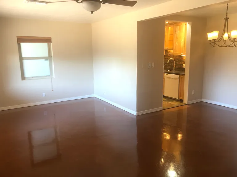 Kitchen in background.