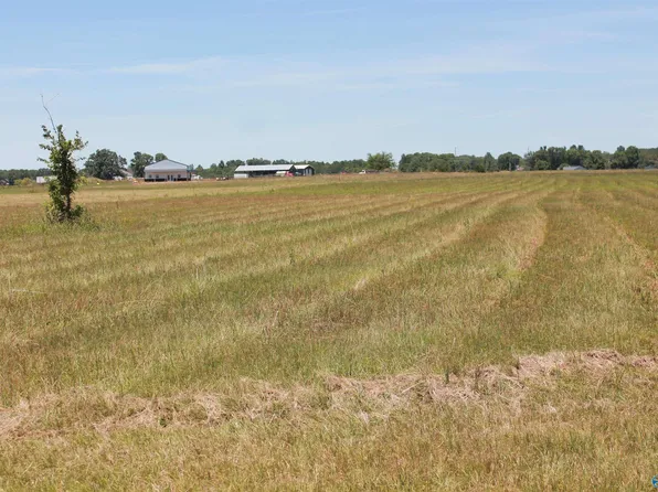 5 Highway 55 W, Falkville, AL 35622