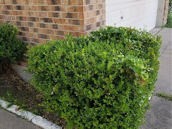4th image of 3018 Adrienne Dr