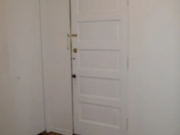 1750 W Belle Plaine Ave #1 — Photo 30